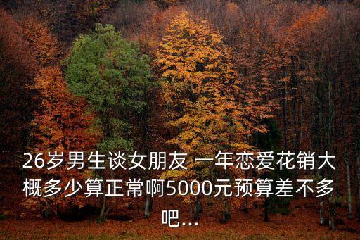 26歲男生談女朋友 一年戀愛花銷大概多少算正常啊5000元預(yù)算差不多吧...