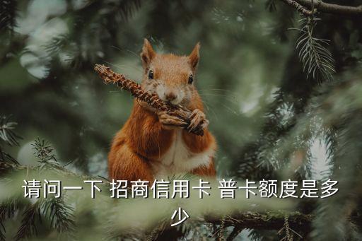 請(qǐng)問一下 招商信用卡 普卡額度是多少