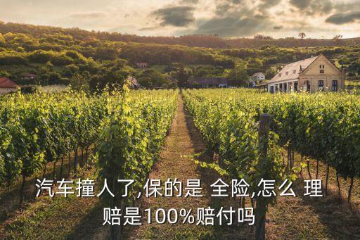保險(xiǎn)全險(xiǎn)理賠多少,車次掉漆保險(xiǎn)全險(xiǎn)理賠嗎