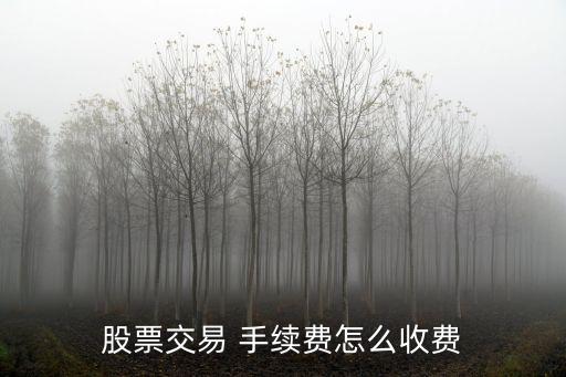 證券買賣要什么手續(xù)費多少,中信建投證券買賣手續(xù)費