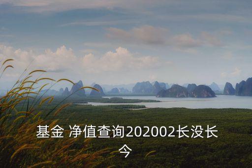  基金 凈值查詢202002長(zhǎng)沒(méi)長(zhǎng)今