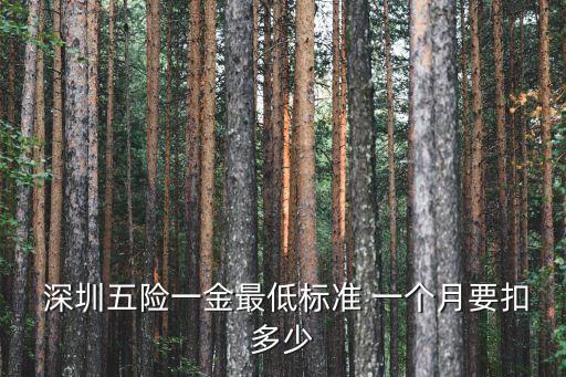 深圳個(gè)人公積金的基數(shù)是多少錢一個(gè)月,深圳公積金個(gè)人繳存基數(shù)