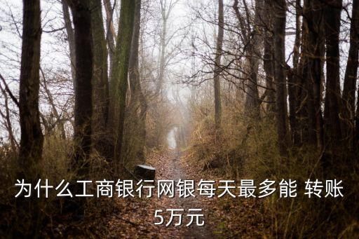 電子密碼器轉(zhuǎn)賬限額多少,電子渠道轉(zhuǎn)賬限額是什么意思