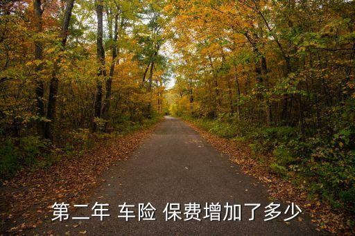 第二年 車(chē)險(xiǎn) 保費(fèi)增加了多少