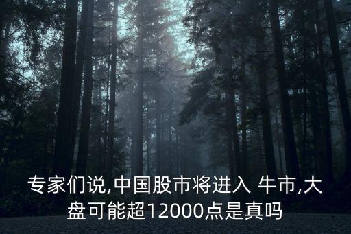 專家們說,中國股市將進入 牛市,大盤可能超12000點是真嗎