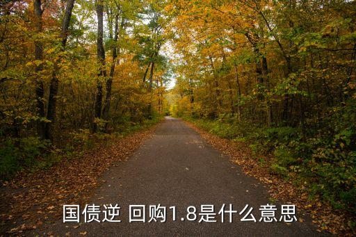 國(guó)債逆回購(gòu)一張是多少