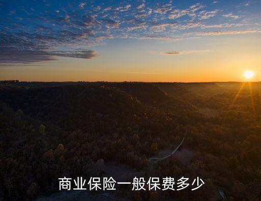  商業(yè)保險(xiǎn)一般保費(fèi)多少