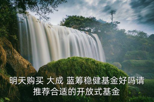 大成藍(lán)籌今日凈值是多少