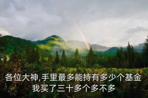 一只基金會(huì)持倉多少股票,一只股票持倉機(jī)構(gòu)多,好還是不好?