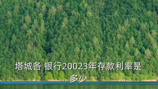 塔城各 銀行20023年存款利率是多少