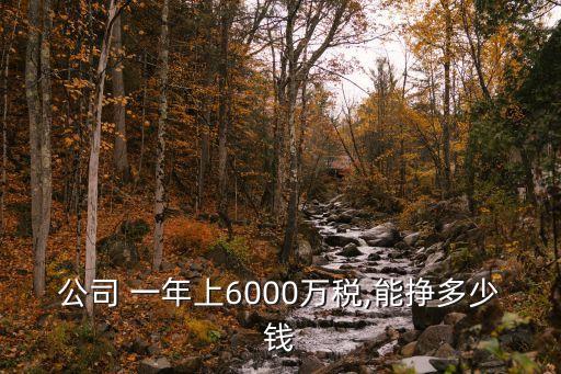 公司 一年上6000萬稅,能掙多少錢