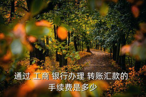 通過 工商 銀行辦理 轉(zhuǎn)賬匯款的 手續(xù)費是多少