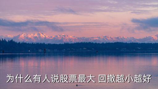 為什么有人說股票最大 回撤越小越好