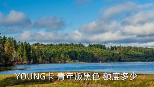 招商青年金卡提額度是多少錢,招商young青年卡黑色金卡額度