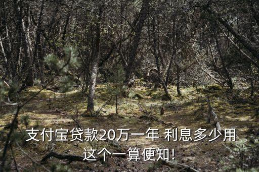 支付貸利息多少,借網(wǎng)貸給別人可以要求支付利息嗎