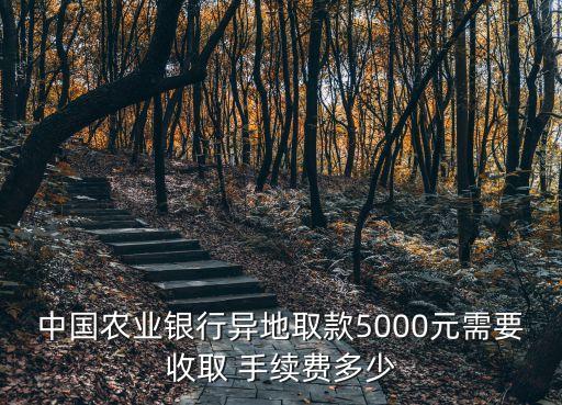 垮行取5萬手續(xù)費(fèi)是多少,跨行取現(xiàn)手續(xù)費(fèi)怎么算