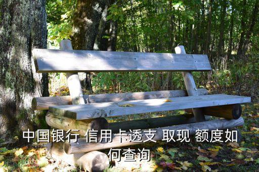 中國銀行 信用卡透支 取現(xiàn) 額度如何查詢