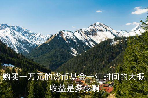 購買一萬元的貨幣基金一年時間的大概 收益是多少啊