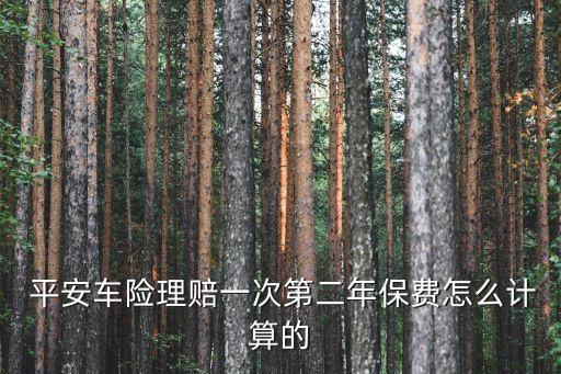 平安二次出險(xiǎn)上浮多少,平安出險(xiǎn)3000第二年上浮多少