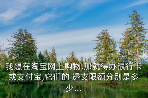 我想在淘寶網(wǎng)上購物,那就得辦銀行卡或支付寶,它們的 透支限額分別是多少...