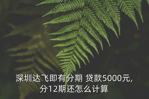 深圳達飛即有分期 貸款5000元,分12期還怎么計算