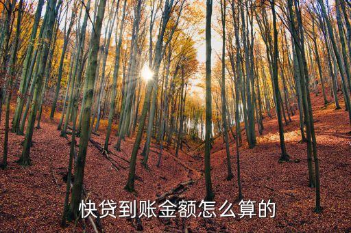  快貸到賬金額怎么算的