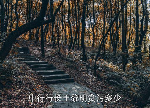 中行行長王黎明貪污多少