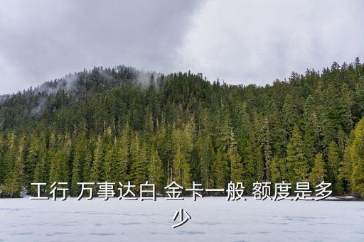 招商標(biāo)準(zhǔn)萬事達(dá)信用卡金卡額度是多少,顏卡標(biāo)準(zhǔn)信用卡萬事達(dá)金卡