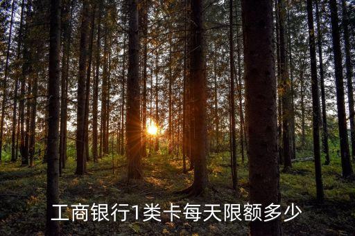 工商銀行1類(lèi)卡每天限額多少