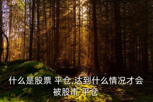 什么是股票 平倉,達(dá)到什么情況才會被股市 平倉
