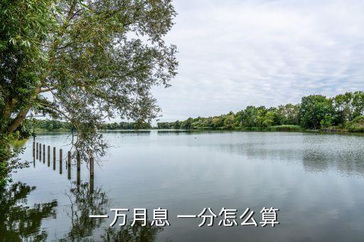 一萬(wàn)一分的利息是多少,一份分利息是多少