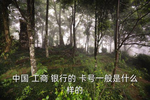 工商銀行的卡號(hào)是多少位數(shù)字,上海工商銀行卡號(hào)多少位