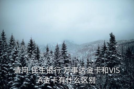 請(qǐng)問 民生銀行 萬事達(dá)金卡和VISA金卡有什么區(qū)別