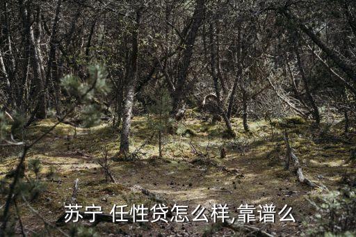 蘇寧任性貸利率是多少