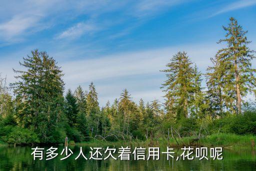 有多少人還欠著信用卡,花唄呢