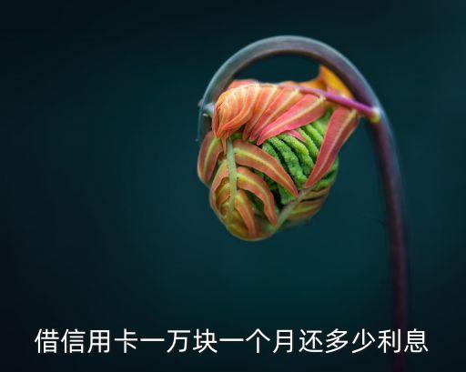 貸款1萬元每月還多少錢,貸款275萬元20年每月還多少