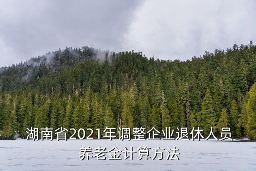  湖南省2021年調(diào)整企業(yè)退休人員 養(yǎng)老金計(jì)算方法
