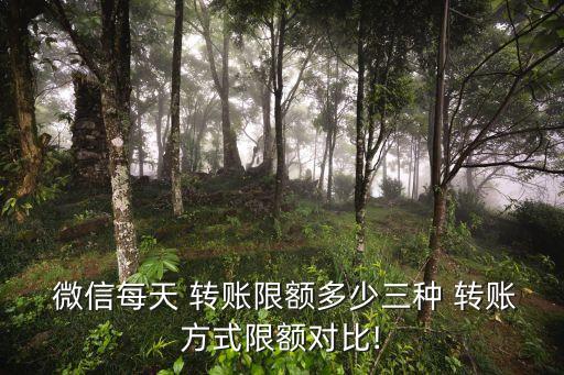  微信每天 轉賬限額多少三種 轉賬方式限額對比!