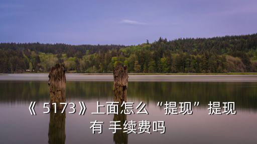 《 5173》上面怎么“提現(xiàn)”提現(xiàn)有 手續(xù)費(fèi)嗎