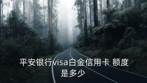 平安白金卡最低額度是多少錢,平安精英白金卡最高額度
