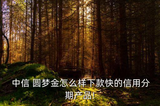  中信 圓夢金怎么樣下款快的信用分期產品!