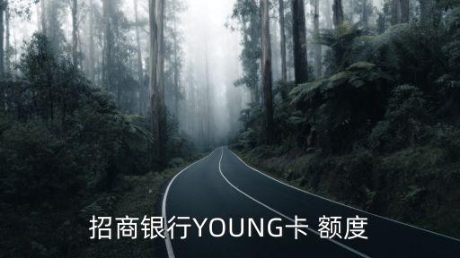 招商銀行YOUNG卡 額度