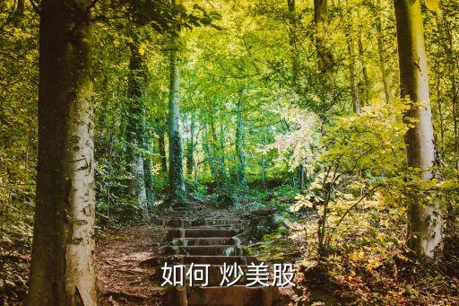 炒美股有多少只股票