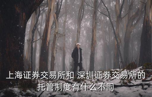 深圳上市的基金有多少只,深圳統(tǒng)籌基金一年能用多少