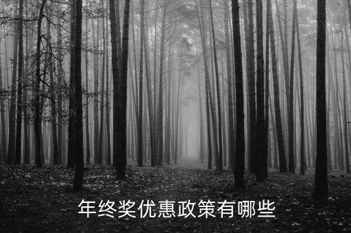  年終獎優(yōu)惠政策有哪些