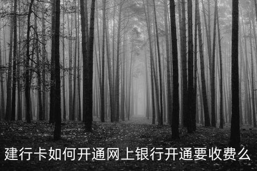 賬戶開網(wǎng)銀費(fèi)用多少,聯(lián)名賬戶可以開網(wǎng)銀嗎