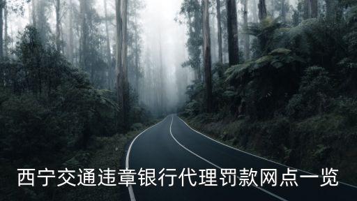 西寧交通違章銀行代理罰款網(wǎng)點一覽