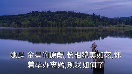 金星租房一年多少,在新西蘭租房一年需要多少錢