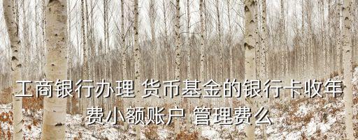工商銀行辦理 貨幣基金的銀行卡收年費小額賬戶 管理費么