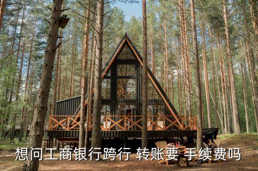 想問工商銀行跨行 轉(zhuǎn)賬要 手續(xù)費(fèi)嗎
